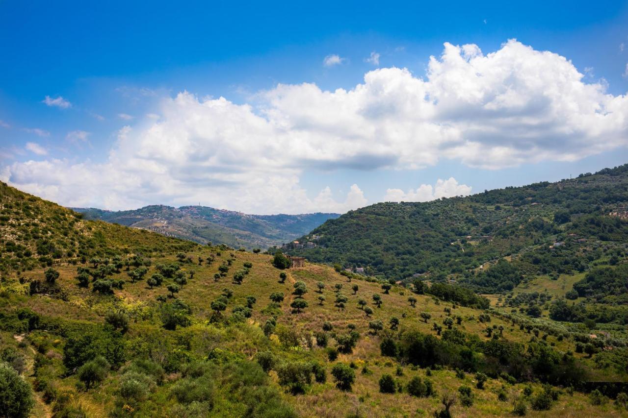 Il Panorama Housing Cilento Lejlighedshotel Santa Maria di Castellabate Eksteriør billede